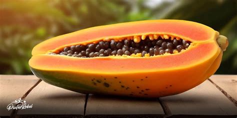mahal na talaga ang kilo ng papaya ngayon|Mahal na Talaga Ang Kilo ng Papaya Ngayon .